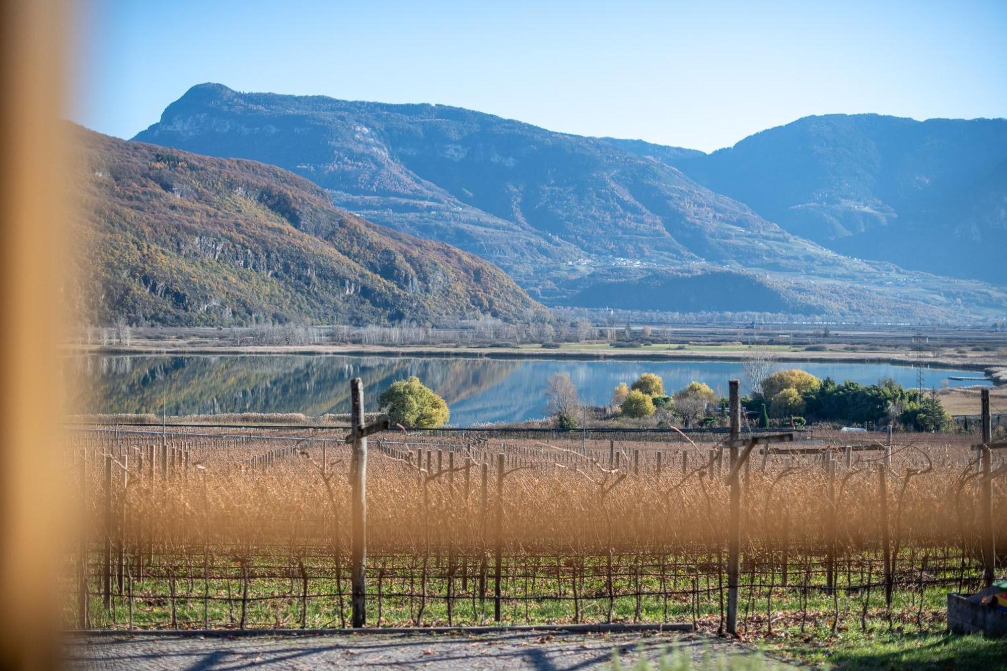 Weinhof Am See Калдаро Екстериор снимка